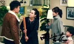 两生花电视剧全集在线观看,穿越时空的浪漫奇缘