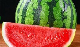 免费吃麒麟瓜,夏日清凉美食盛宴来袭！